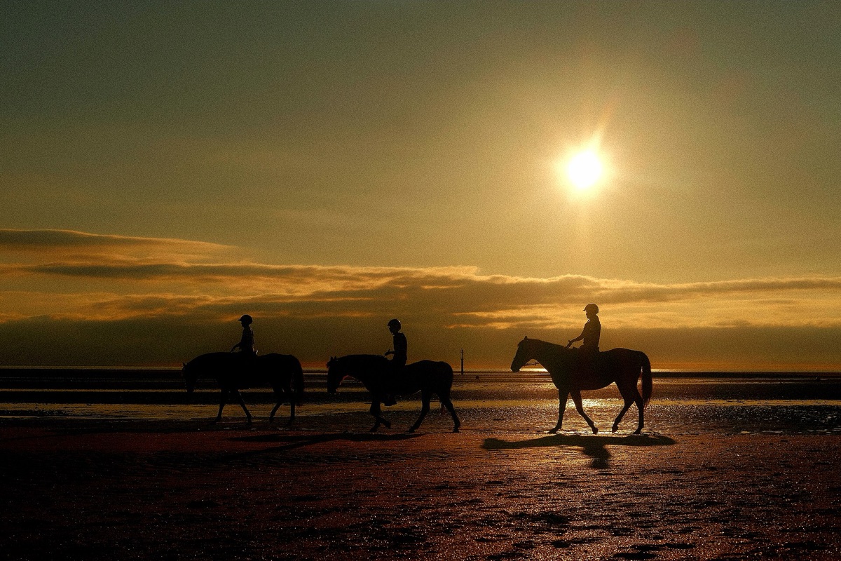 Reiten