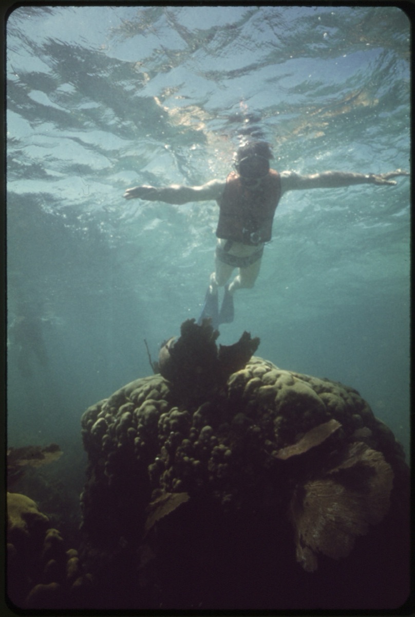 Snorkeling & Plongée