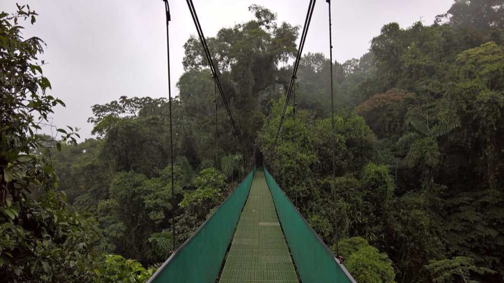 Monteverde Hanging Bridges