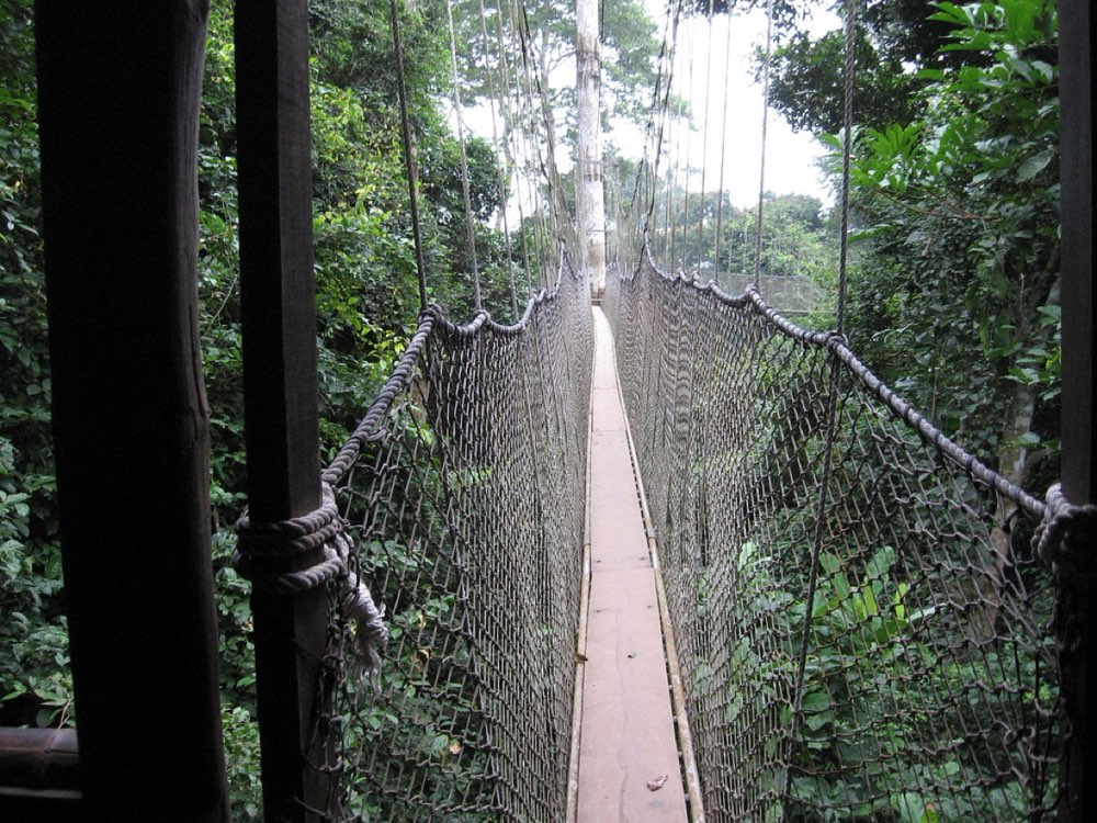 Monteverde Hängebrücken-Tour