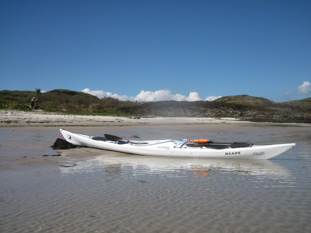 Tamarindo-Mündung Wildtier-Tour