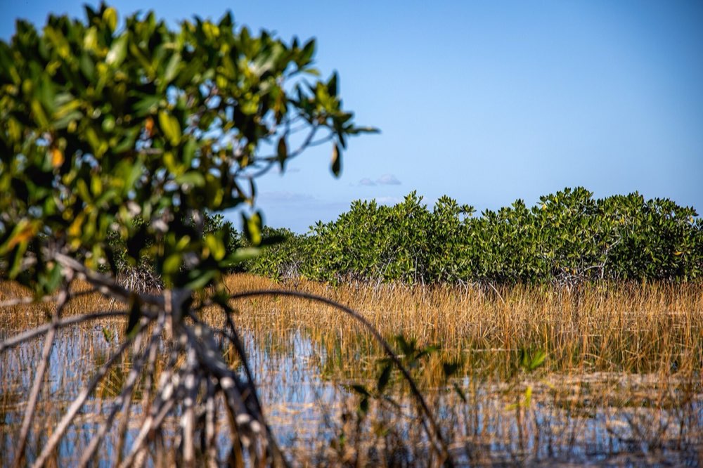 Sarapiquí-Fluss-Kajak