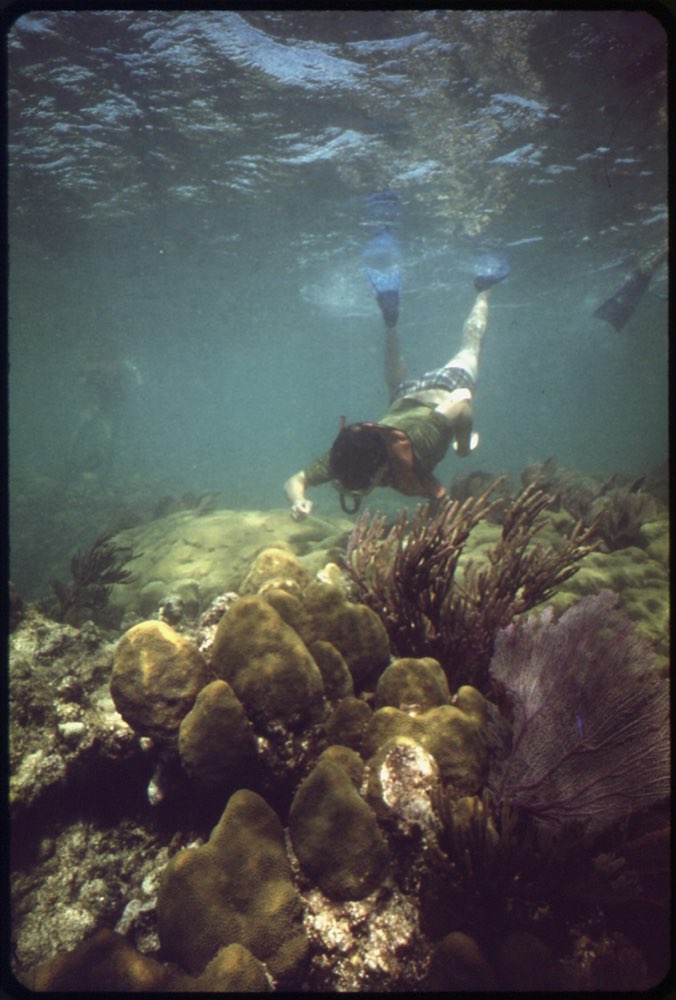Cahuita Reef Snorkel & Hike
