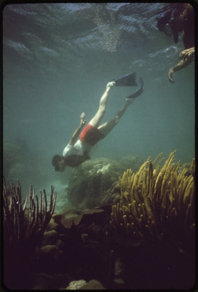 Caño Island Scuba Diving