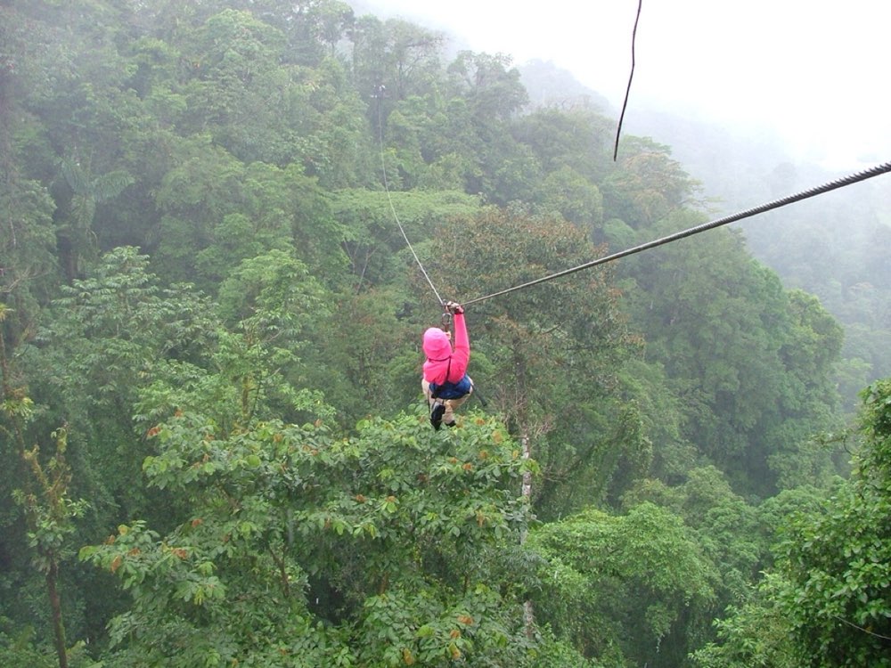 Congo Trail Original-Canopy