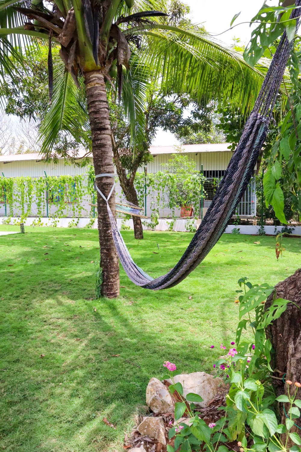 Casa Morpho · Jungle Hideaway Above Playa Barrigona