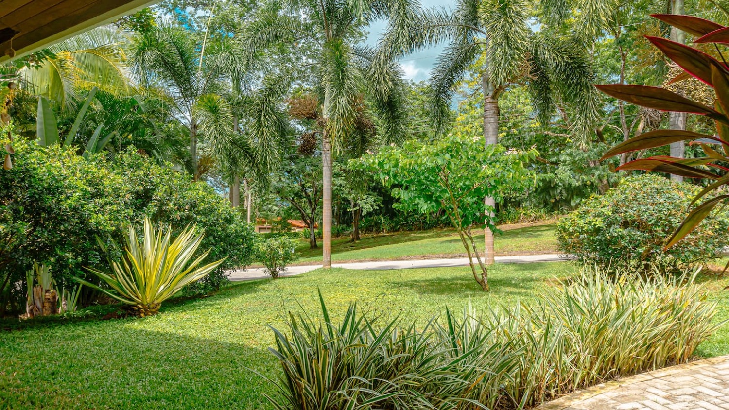 Loma Verde · Grüne Ruhe an der Playa Carrillo